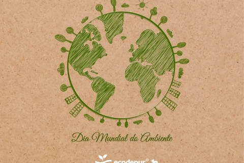 World Environment Day | Biodiversity is celebrated